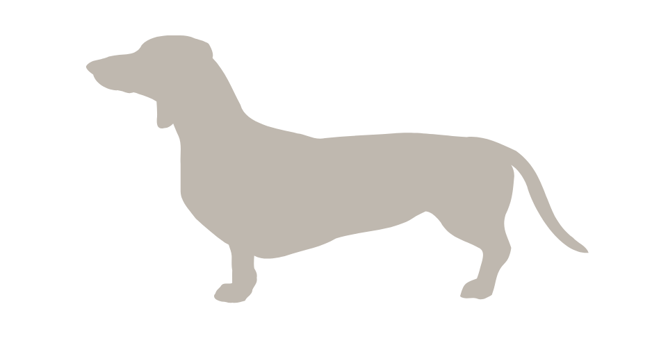 Silhouette of a dachshund.